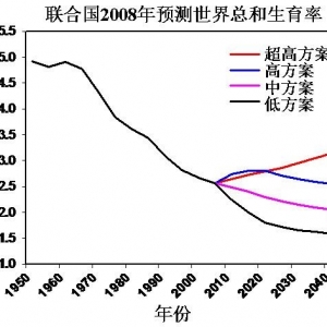 联合国人口基金利用虚假数据误导大众 - 易富贤 - 易富贤的博客