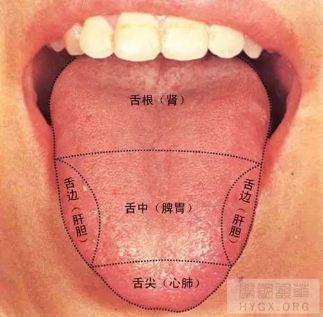 医生总看舌头都在看什么？九种体质+珍贵的舌诊图谱！