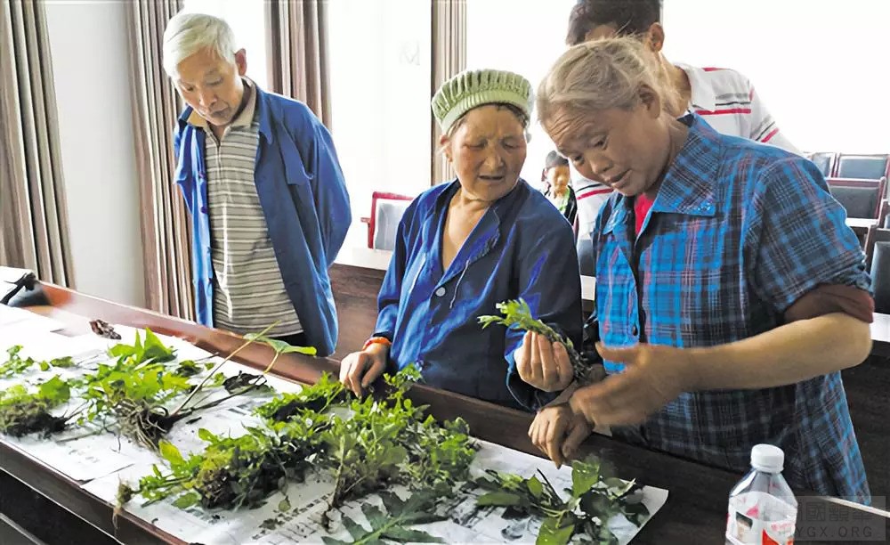 发展中药材产业,推行『中医入户』·这里全民学中医、小病能自治！ ... ... ...